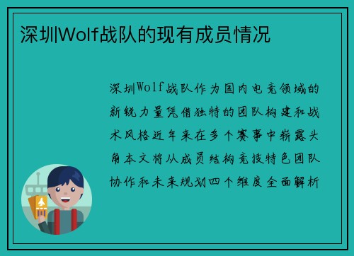 深圳Wolf战队的现有成员情况