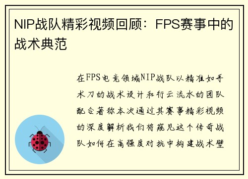 NIP战队精彩视频回顾：FPS赛事中的战术典范